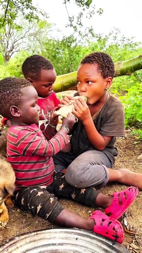 Hadza Hunter Prepares Food in the Wild | Real African Life.#shorts #viralvideo #africa