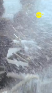 1.2K views · 11 reactions | ¿Buscando aventuras piratas? ¡Aquí las tienes gratis! Piratas te espera en #PlutoTV. ‍☠️⚓ Ríe y disfruta con esta gran historia. | Pluto TV Mexico | Facebook