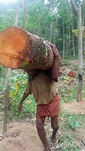 570K views · 11K reactions | മുഴി (പാട്ടറ ടീം) #reelsfacebook #facebookreels #reels #facebook #loading #thadi #thadikaran #thadilorrykkaran #fyp #india #indiareels #explore #explorepage #wood തടിപണിക്കാർ | മനോജ് കുമാർ | Facebook