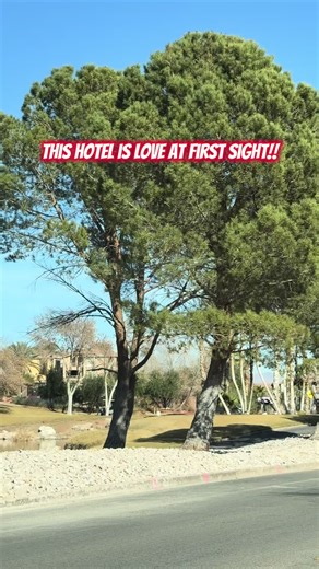 Peaceful Spring Break Getaway at The Westin Lake Las Vegas