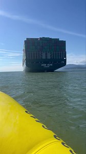 Ever Seen a Container Ship up Close😱 I got the chance a little while back and thought you’d like to see this gigantic ship with 1000s of containers on it sitting in a Bay, maybe one of these boxes has our new artwork in it😜I filmed this while on a fast zodiac and ask the captain to do a quick pass as close as he could get😎🥷 | The Outlet Homewares & Furniture