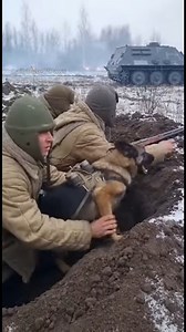 Footage shows Soviet soldiers crouched in a snowy trench during World War II as part of the 1941–1942 Soviet anti tank dog experiment. A dog fitted with explosives is guided toward a stationary German tank while soldiers watch tensely. Moments later, an explosion erupts near the tank as the soldiers react to the outcome of the operation. AI generated scene created for creative storytelling and historical illustration. #animals #doglover #doglife | Dailydoseofpaws