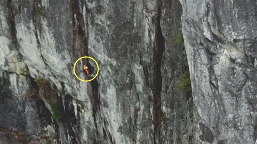 #TheMoment a dangling BASE jumper was rescued from a B.C. mountain