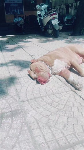 Mar & Tech (@mar.and.tech)’s videos with 1, 2, 3, 4 (One, Two, Three, Four) [Fun Elektro Mix] - Funbeat