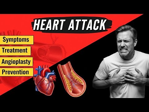 How A Heart Attack Actually Happens (3D Animation)