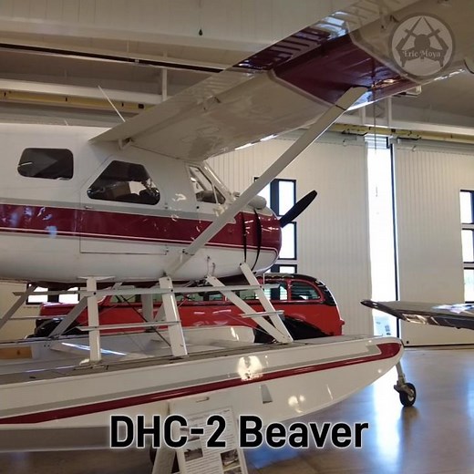 Take a Look at this Canadian Amphibious DHC-2 Beaver Aircraft #aviation #aircraft