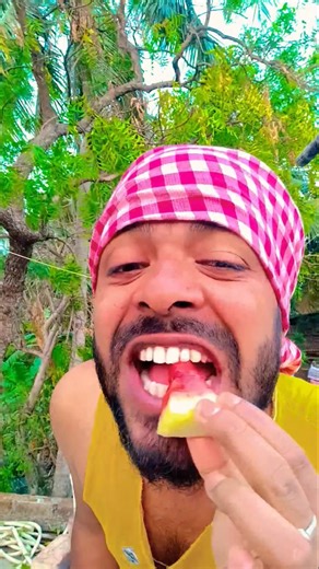 Small, Big, Giant Rainbow Gummy Bears ...