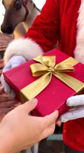 He Tried to Deliver Gifts… and Broke My Roof! #ai #nhanai #nhantk #noel #santa