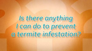 2.5K views · 32 reactions | Find out what you need to do to prevent termites this spring! | PestWorld | Facebook