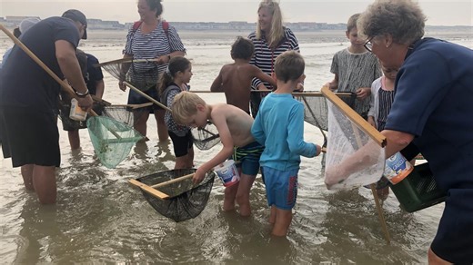Picardie Maritime : le chiffre du jour et deux idées de sorties ce mardi 22 juillet