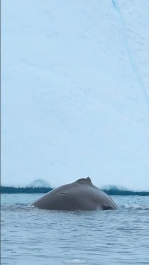 Exploring Ilulissat Icefjord in Greenland