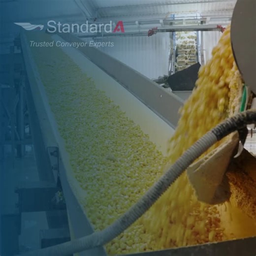 #conveyorbelts #agricultureindustry #agriprocessing #materialhandling #fertilizerproduction #grainhandling #bulkmaterialhandling #standarda #industrialsolutions #agriculturetechnology… | Standard A - Trusted Conveyor Experts