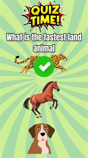 2 Animal Riddles Only Geniuses Can Solve! 🧠🐾