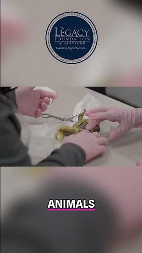 Dissecting Frogs: Learning About Our Bodies