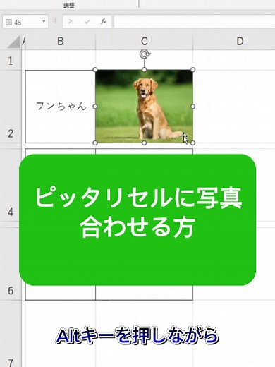エクセルで写真をセルに合わせるテクニック