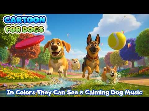 24 Hours Cartoon for Dogs to Watch 🎨🐕 in Colors Dogs Can See 🐶 Funny Dog Videos | Dog TV