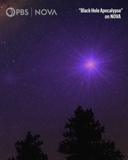 The discovery of black holes was an accident. Here's the story of how a young astronomer stumbled across the phenomenon: | NOVA l PBS