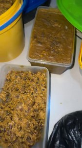 7.3K views · 60 reactions | Mummy is go | Diligent Tv | Facebook