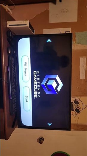 Gamecube start up