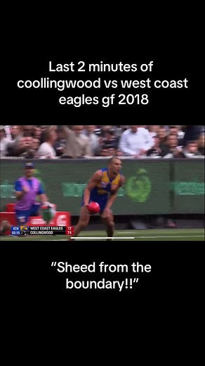 Last 2 Minutes of Collingwood vs West Coast Eagles GF 2018 - Unbelievable Finish