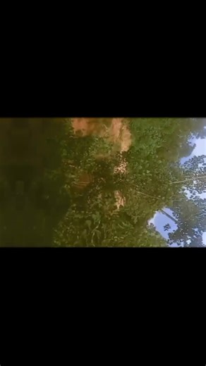 Gujjar hum yarr😎❣️ (@gujjar76543216)’s videos with original sound - Gujjar hum yarr😎❣️