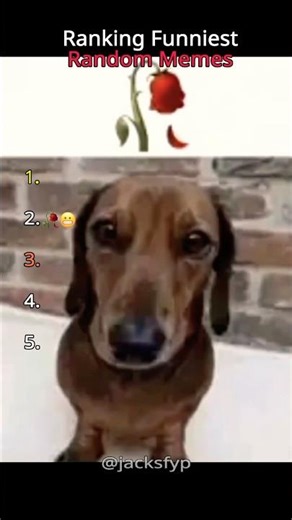 Ranking The Funniest Random Memes!! 😂