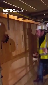 Imagine being on the end of this spider prank 😬 | Metro