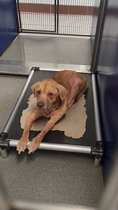 29K views · 1.3K reactions | SENIOR ALERT!!!!!! Currently at...