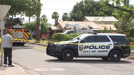 Worker dies after palm tree skirt falls on him in Tempe