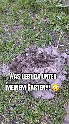 #maulwurf #gartenleben #gartenhack #nature #tierwelt