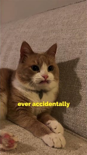 She caught her secret on a 4K MIC!