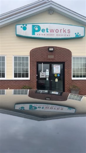 ✨🦌 When word gets around that Petworks takes great care of animals… even Santa’s deer swing by!🎅🏼 And yes — we’re accepting new clients all season long! | Petworks Veterinary Hospital