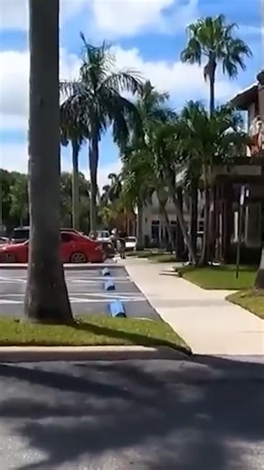 480K views · 9.2K reactions | Detained Under Threat Of Arrest For "Spectating" A Car Show?! | Criminal Echo | Facebook