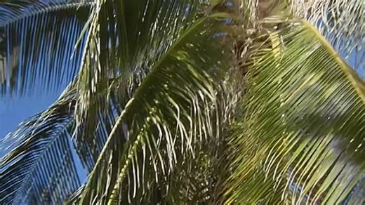 Pippi.in.Taka-Tuka-Land.1970.REMASTERED.German.AC3.DVDRiP.x265