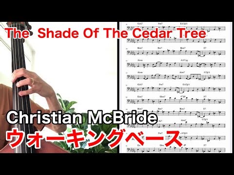 The Shade of the Cedar Tree(Bass Line)
