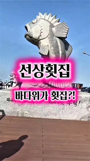 바다위가 횟집?! 국내 1호 선상횟집 #삼길포항 #노지캠핑 #실치축제 #우럭축제 #장고항 #여행 #힐링