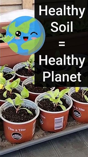 USE Organic Liquid Seaweed!