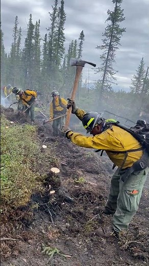 Wildland Firefighters Cutting Line in Alaska