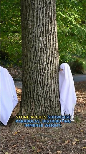 Geometry is hiding everywhere, can you see it