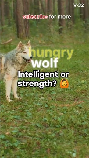 🦊🐺 The Wolf and the Fox – A Short Moral Story #usa #morallesson #shortstory