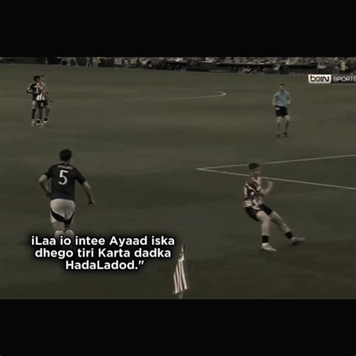 Exploring the Legacy of Harry's Impact