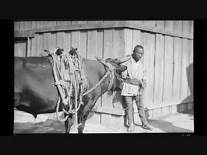 1、1908年(明治41年)頃の日本