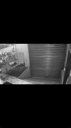 Encuentro con el cuyeyo: ¡Conoce a nuestro husky!