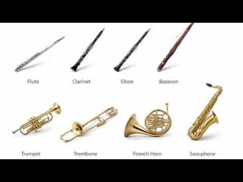 Every Wind Instrument Explained in 3 minutes