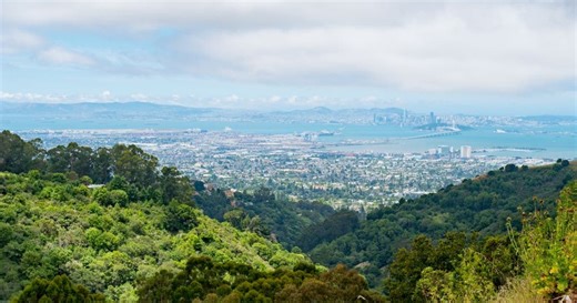 Hundreds of properties in this Bay Area county to be auctioned with bids as low as $455