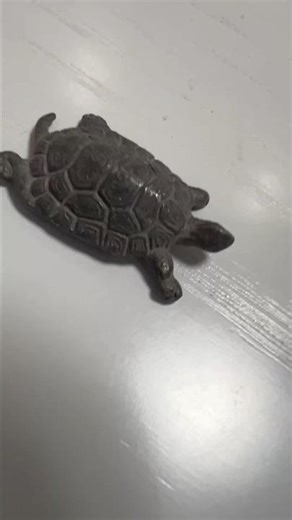 tortoise and turtle #Kame no Yakata @Heiwajima