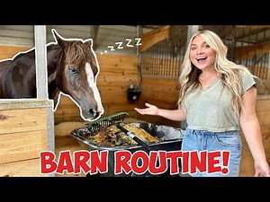 MY HORSES SUMMER NIGHT ROUTINE | BARN ROUTINE