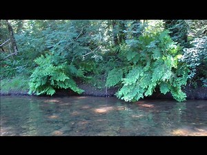 La Fonction de l'éducation Jiddu Krishnamurti