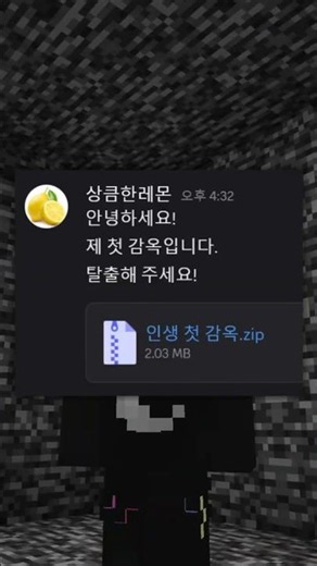 Prison Escape Made by a Subscriber!