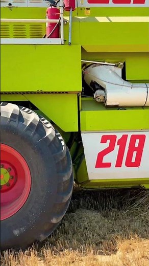 Première moisson de blé avec une moissonneuse dominator claas🤩￼